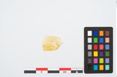 Foto von Glasrippenschale (NHMW-PRAE-025911)